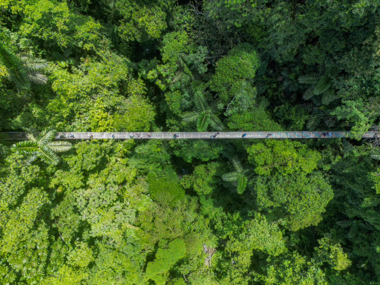 la fortuna hanging bridges